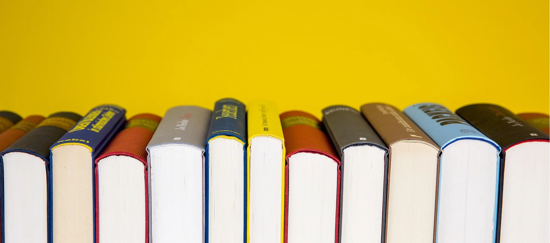 A row of books against a yellow background